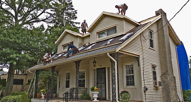 Best Gutter Installation and Roofing  in Elk Plain, WA